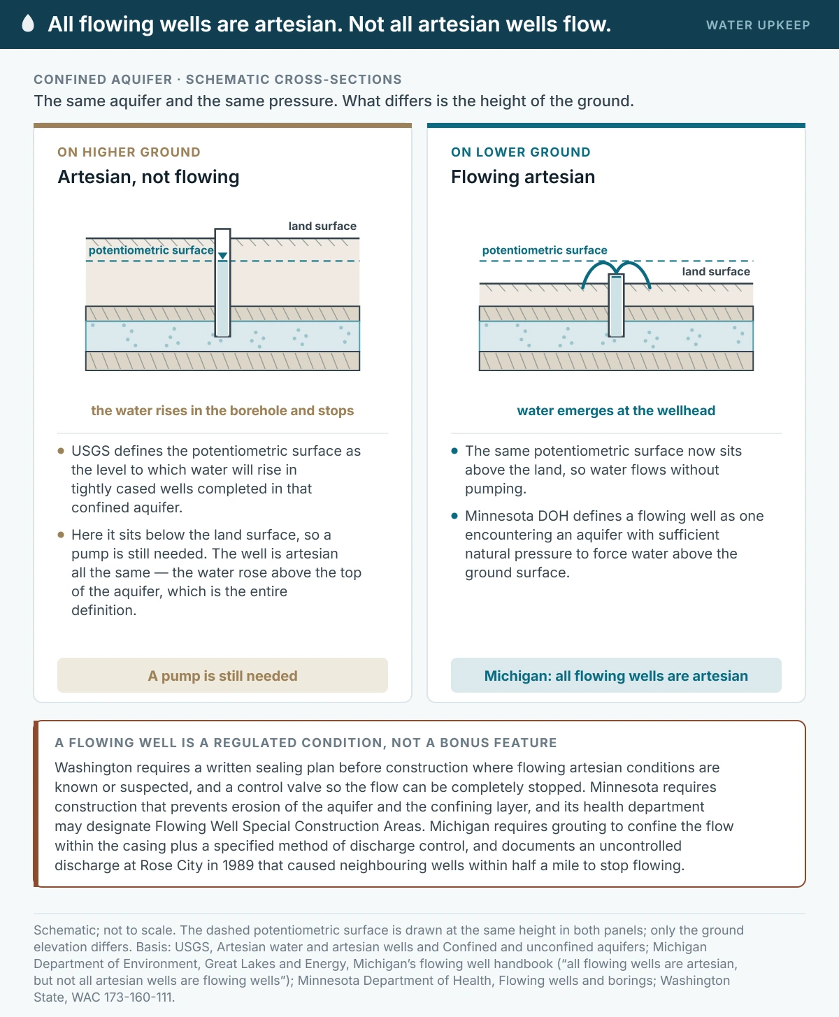 Two schematic cross-sections of the same confined aquifer between low-permeability layers, with the potentiometric surface drawn at the same height in both. On higher ground the water rises in the borehole and stops below the land surface, so the well is artesian but not flowing. On lower ground the same surface sits above the land, so water emerges at the wellhead without a pump.