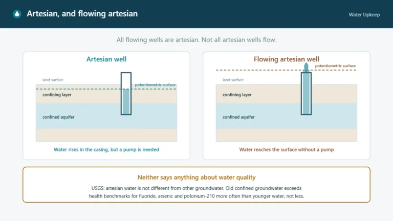 Side-by-side diagram of an artesian well, where water rises in the casing above the aquifer but still needs a pump, and a flowing artesian well, where the potentiometric surface sits above the land surface so water flows without pumping.