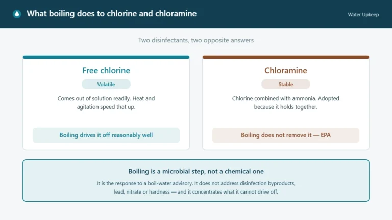 Diagram comparing free chlorine, which is volatile and driven off by boiling, with chloramine, which is stable and not removed by boiling.