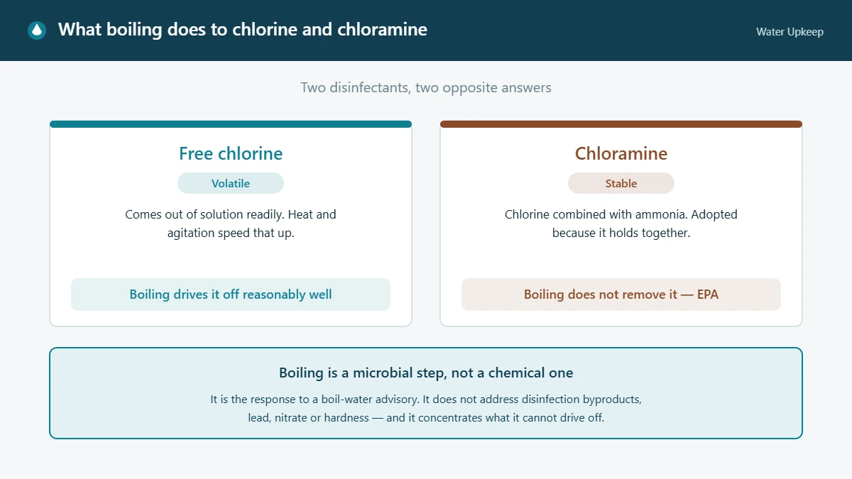 Diagram comparing free chlorine, which is volatile and driven off by boiling, with chloramine, which is stable and not removed by boiling.