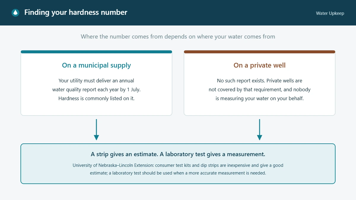 Diagram contrasting a municipal supply, where the annual water quality report usually lists hardness, with a private well, where no such report exists and testing is the only way to get the number.