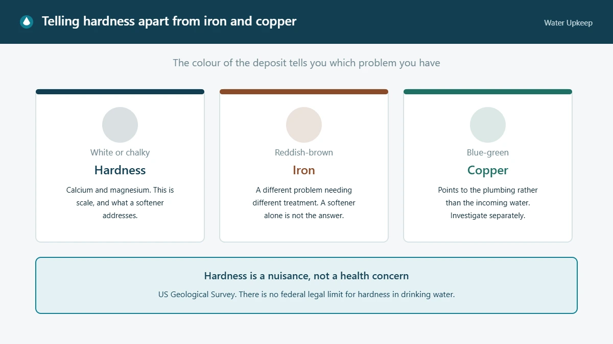 Diagram comparing white chalky deposits from hardness, reddish-brown staining from iron and blue-green staining from copper, with a note that hardness is a nuisance rather than a health concern.