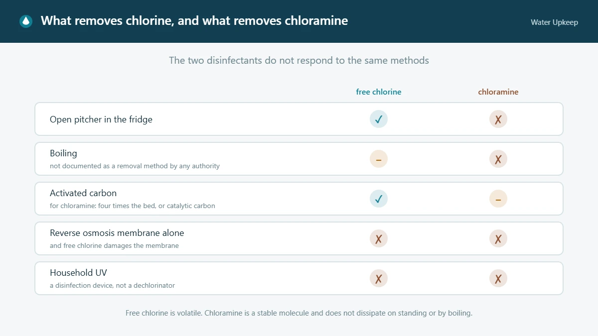 Matrix showing which methods remove free chlorine and which remove chloramine: an open pitcher in the fridge works on chlorine only, activated carbon works on both but needs far longer contact for chloramine, and the reverse osmosis membrane and household UV remove neither.