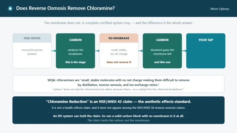 Flow diagram of a reverse osmosis system showing the carbon stages handling chloramine while the membrane does not, with the NSF/ANSI 42 certification note.