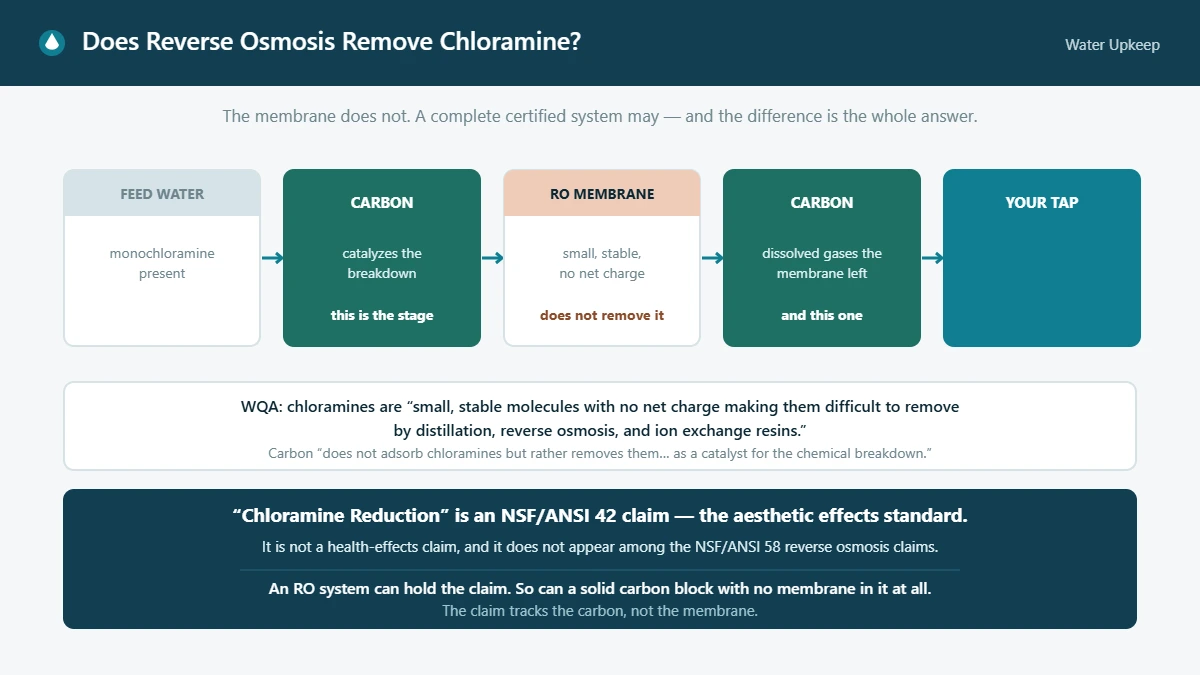 Flow diagram of a reverse osmosis system showing the carbon stages handling chloramine while the membrane does not, with the NSF/ANSI 42 certification note.