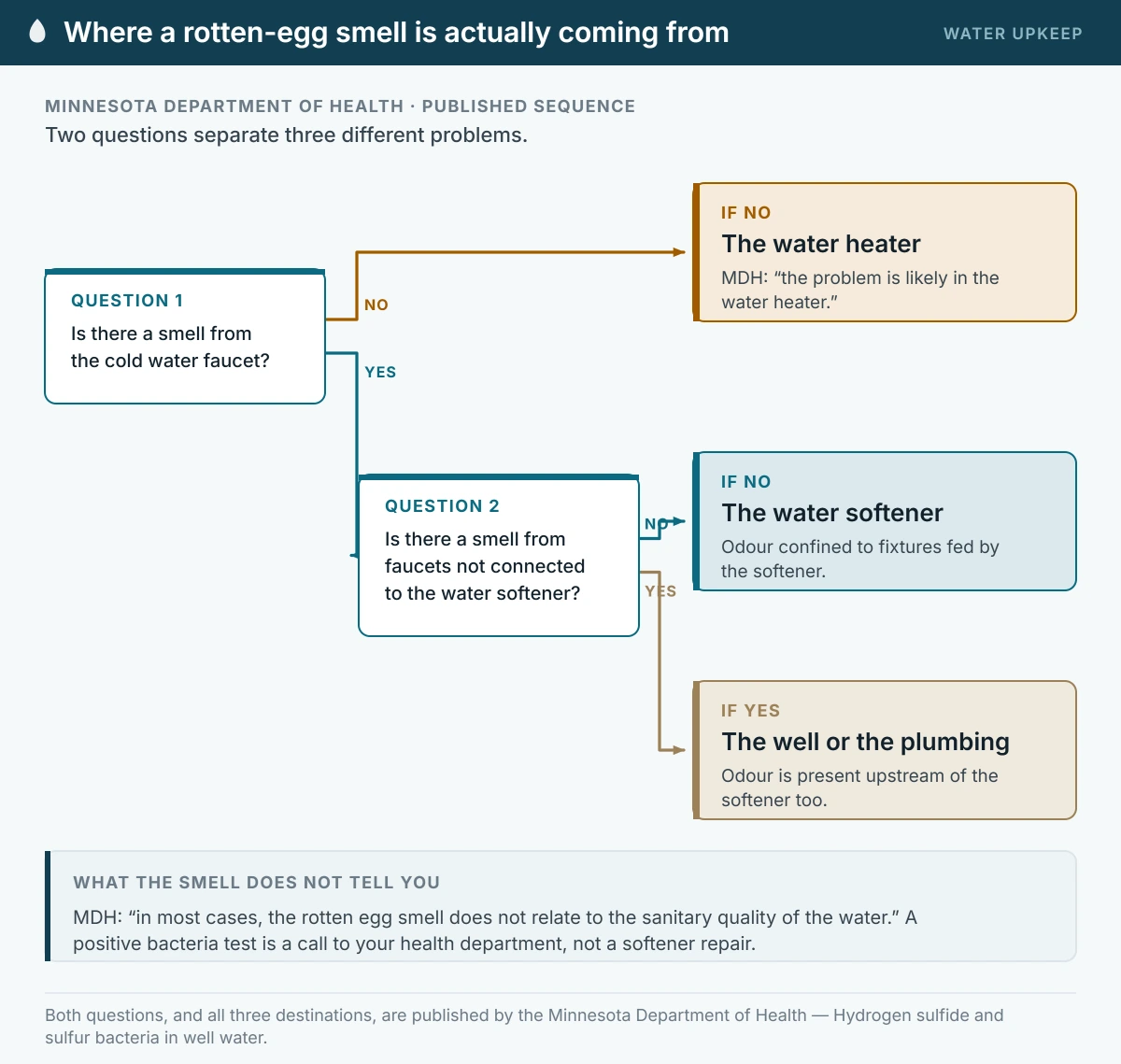 Two-question branch published by the Minnesota Department of Health: no smell at the cold tap points to the water heater, a smell only at softened fixtures points to the softener, and a smell at taps not fed by the softener points to the well or the plumbing.