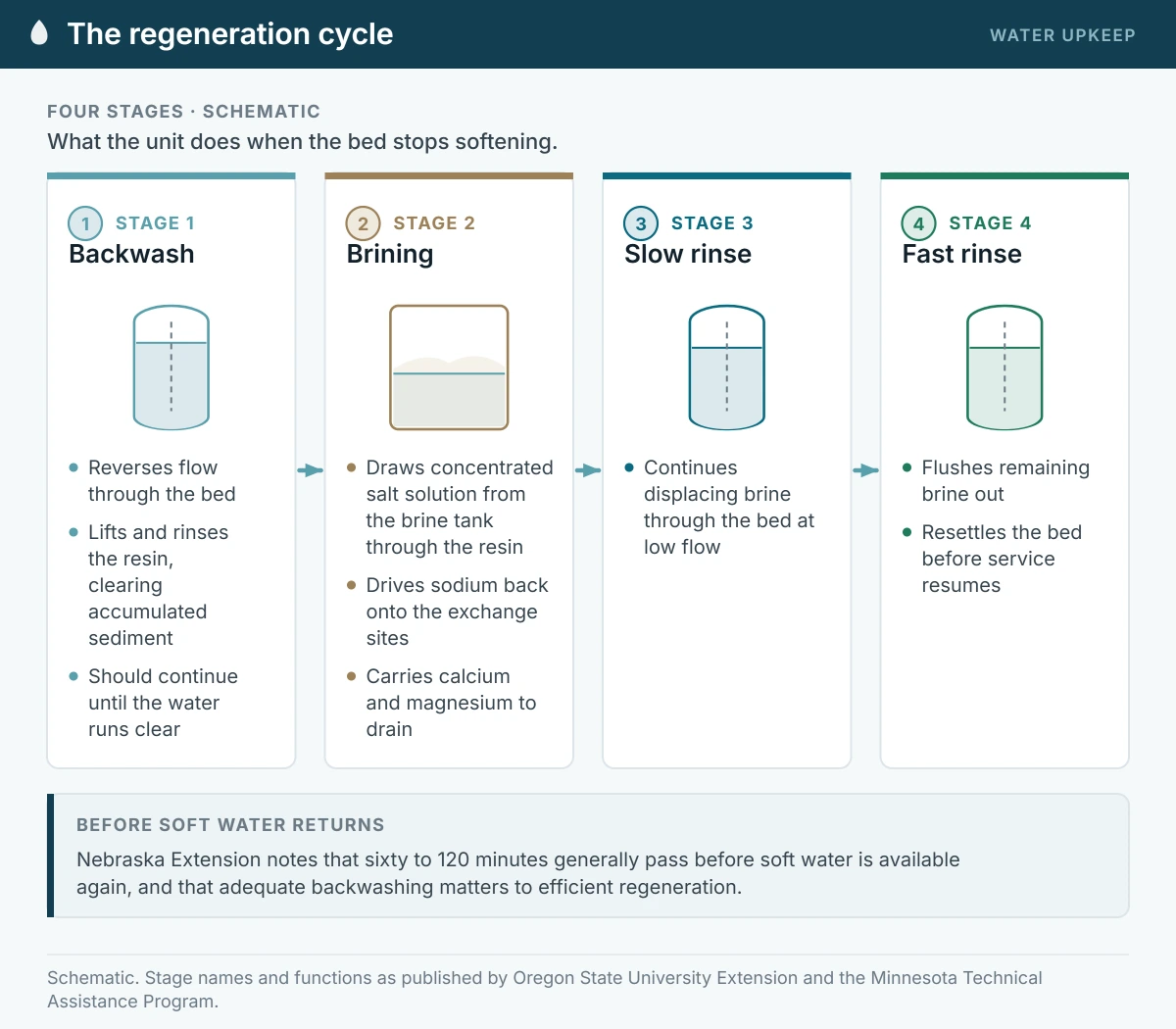 Four-stage water softener regeneration cycle: backwash lifts and rinses the resin bed, brining draws salt solution through it, slow rinse displaces the brine at low flow, and fast rinse flushes the remaining brine and resettles the bed.
