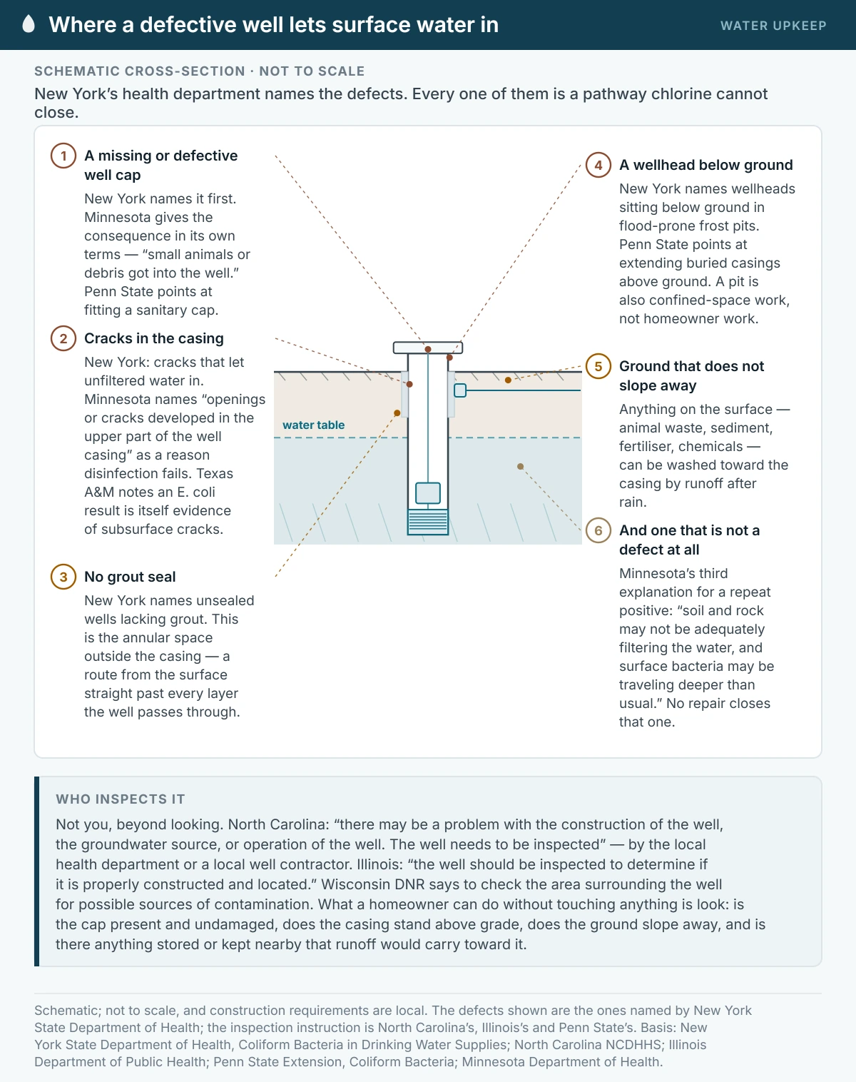 A schematic well cross-section marked with the construction defects New York State Department of Health names as causes of coliform contamination: a missing or defective well cap, cracks in the casing, an unsealed well lacking grout, a wellhead sitting below ground in a frost pit, and ground that does not slope away from the casing. A sixth callout notes Minnesota’s explanation that soil and rock may simply not be filtering the water adequately.